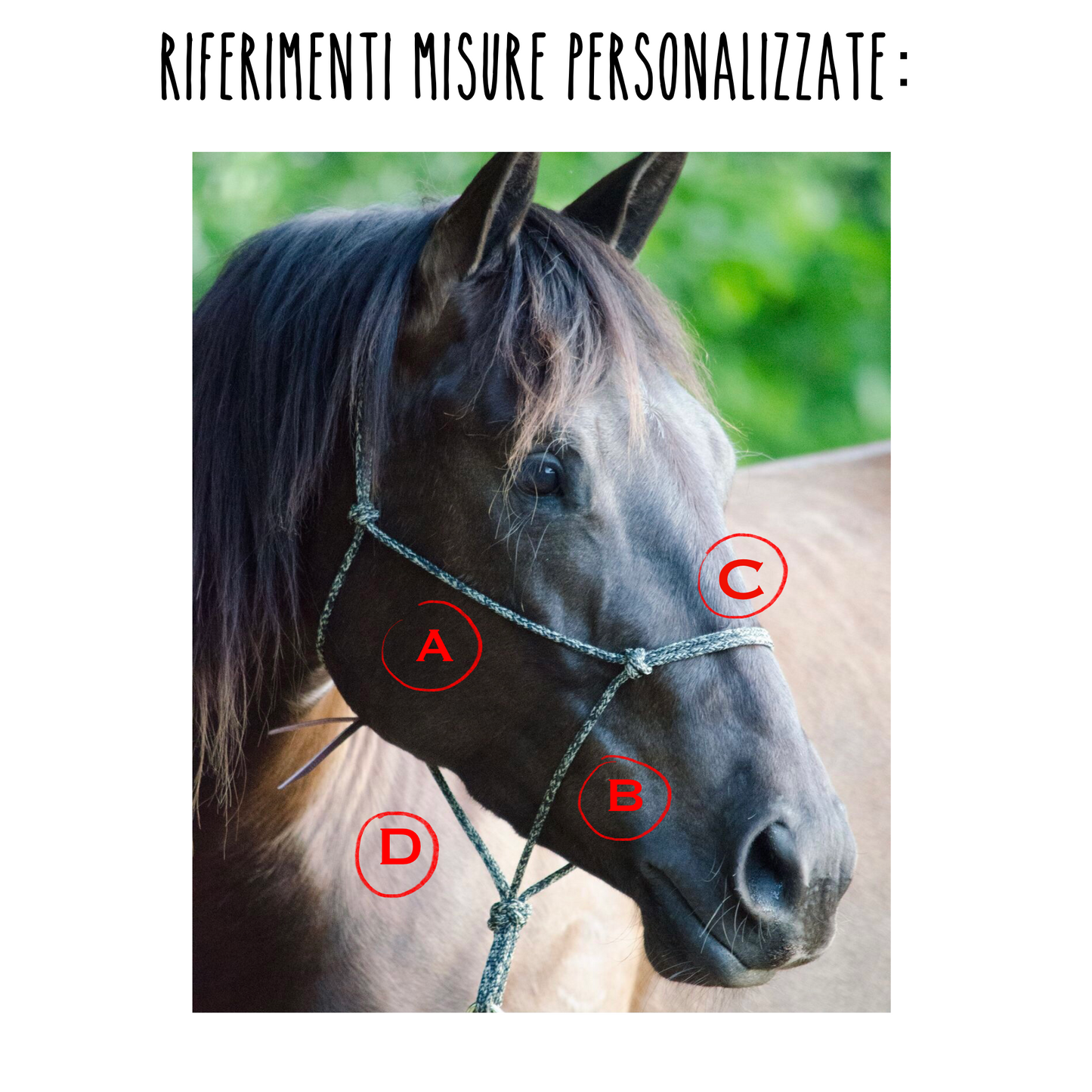Capezza in corda Basic
