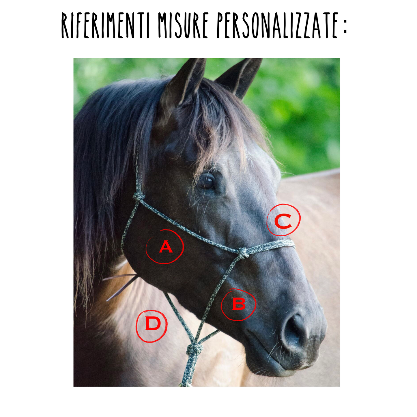 Capezza in corda personalizzata con nome/decorazioni